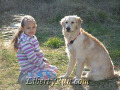 a-agoldenretrieverpuppygirl2